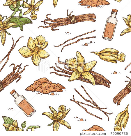 Seamless pattern with Vanilla plant parts, flowers and oil vector illustration. 79090786