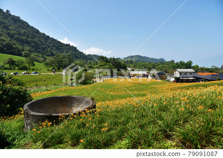The golden needle flowers of the green forest on the top of the mountain, the pureness of the cloudscape on the top of the mountain, and the brightness of the flowers and the irradiation of Tokusara. The golden needle flowers of the green forest on the top of the mountain, the pureness of the cloudscape on the top of the mountain, and the brightness of the flowers and the irradiation of Tokusara. 79091087