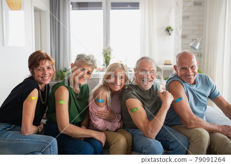 Group of senior friends showing plaster on arm indoors, covid-19 vaccination concept. 79091264
