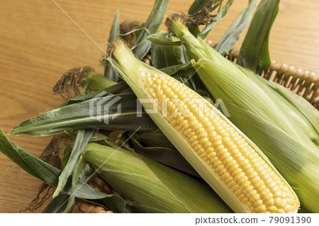 Image of taking corn 79091390