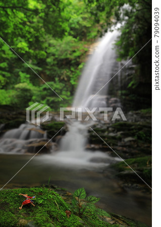 Akama Falls Akama Falls 79094039