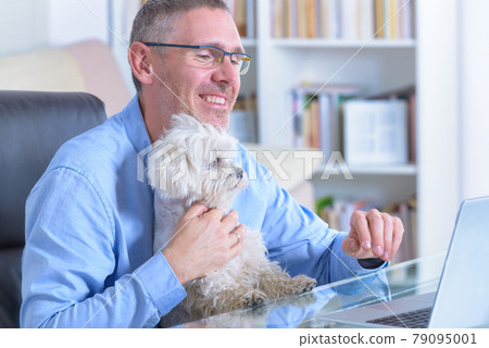 Working with dog at home Working with dog at home 79095001