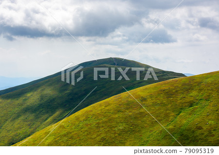 rolling hills an meadows of borzhava ridge. beautiful nature scenery with grassy slopes in dappled light. wonderful summer landscape of ukrainian carpathian mountains on a sunny day rolling hills an meadows of borzhava ridge. beautiful nature scenery with grassy slopes in dappled light. wonderful summer landscape of ukrainian carpathian mountains on a sunny day 79095319