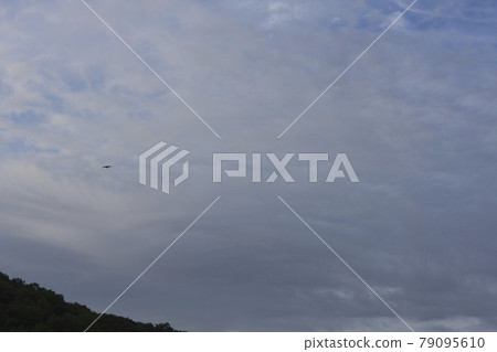 六月中旬 清晨的天空和岐阜市東南邊的山峰 六月中旬 清晨的天空和岐阜市東南邊的山峰 79095610