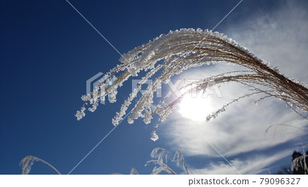 冷凍的早晨 冷凍的早晨 79096327