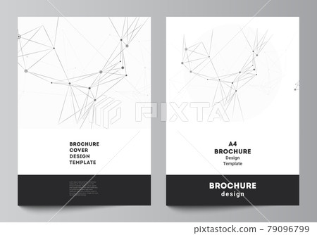 Vector layout of A4 cover mockups templates for brochure, flyer layout, booklet, cover design, book design, brochure cover. Gray technology background with connecting lines and dots. Network concept. Vector layout of A4 cover mockups templates for brochure, flyer layout, booklet, cover design, book design, brochure cover. Gray technology background with connecting lines and dots. Network concept. 79096799