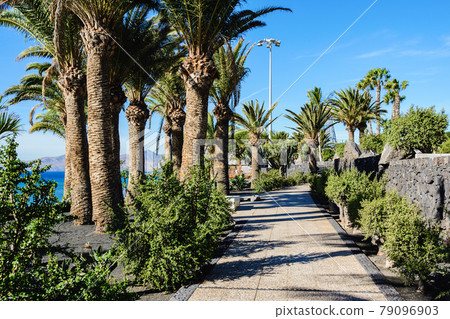 Puerto del Carmen, Lanzarote, Canary islands 79096903