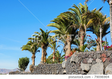 Puerto del Carmen, Lanzarote, Canary islands 79096904