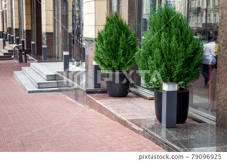 pedestrian walkway made of stone tiles along the building with thresholds and steps with entrances to shops lined with granite with decorative street lamps with pots with thuja bush, nobody. pedestrian walkway made of stone tiles along the building with thresholds and steps with entrances to shops lined with granite with decorative street lamps with pots with thuja bush, nobody. 79096925