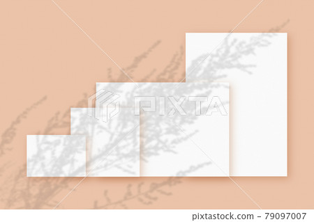 Mockup with plant shadows superimposed on several horizontal and vertical sheet of textured white paper on a beige table background 79097007