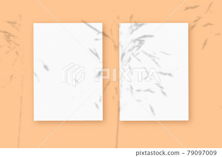 Natural light casts shadows from the plant on 2 vertical sheets of white textured paper format, lying on a beige textured background. Mockup 79097009