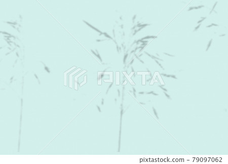 Summer background of plant shadows. Shadow of an exotic plant on a blue wall. Mockup Summer background of plant shadows. Shadow of an exotic plant on a blue wall. Mockup 79097062