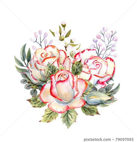 A bouquet of white roses with a pink edge, leaves, berries, decorative twigs. Watercolor illustrations for the design of greeting cards, invitations, etc 79097085