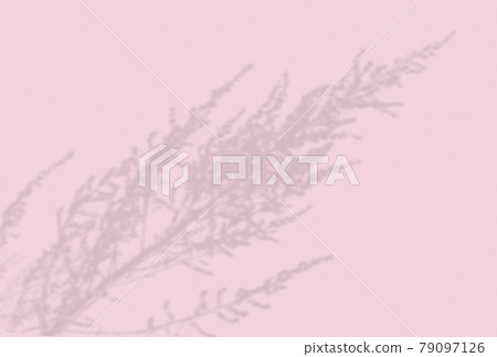 Summer background of plant shadows. Shadow of an exotic pink on a beige wall. Mockup Summer background of plant shadows. Shadow of an exotic pink on a beige wall. Mockup 79097126