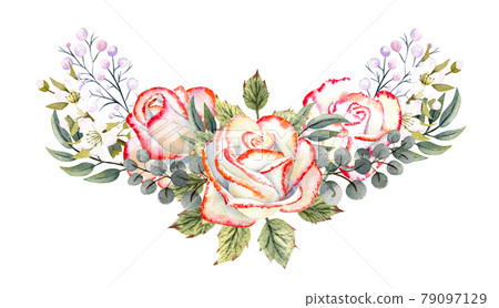 A bouquet of white roses with a pink edge, leaves, berries, decorative twigs. Watercolor illustrations for the design of greeting cards, invitations, etc A bouquet of white roses with a pink edge, leaves, berries, decorative twigs. Watercolor illustrations for the design of greeting cards, invitations, etc 79097129