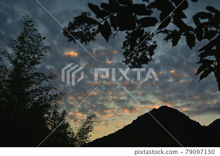 Evening grass Evening grass 79097130