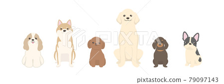 Vector illustration of dogs side by side 79097143