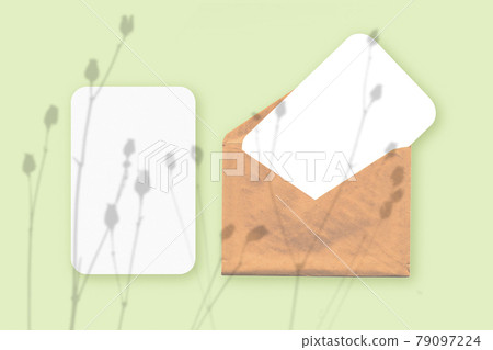 Mockup with an overlay of plant shadows on envelope with two sheets of textured white paper on a green table background. Horizontal orientation 79097224