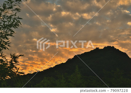 Evening grass Evening grass 79097228