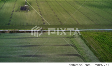 Aerial view of green arable land and a narrow small asphalted road between the fields Aerial view of green arable land and a narrow small asphalted road between the fields 79097735