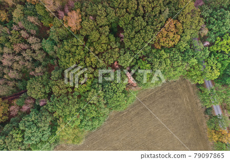 Aerial view of the edge of a forest with deciduous trees next to arable land Aerial view of the edge of a forest with deciduous trees next to arable land 79097865