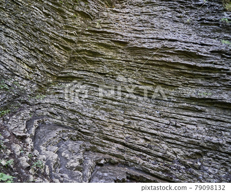 Detail of a horizontal fold with a disturbance in the limestone, Muschelkalk of the Bavarian Alps, Triassic 79098132