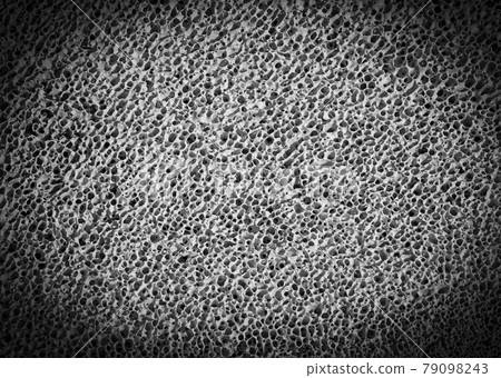 Bone spongy structure close-up, healthy texture of bone. Selective focus Bone spongy structure close-up, healthy texture of bone. Selective focus 79098243