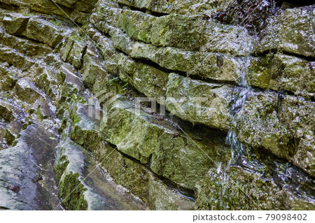 Layered slabs of Triassic limestone in the Alps, with equidistant layer thicknesses, and a spring runner, selective focus Layered slabs of Triassic limestone in the Alps, with equidistant layer thicknesses, and a spring runner, selective focus 79098402