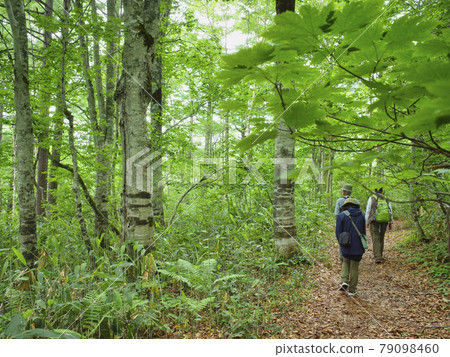 Trekking on the plain plateau of Joshinetsu Kaya Trekking on the plain plateau of Joshinetsu Kaya 79098460
