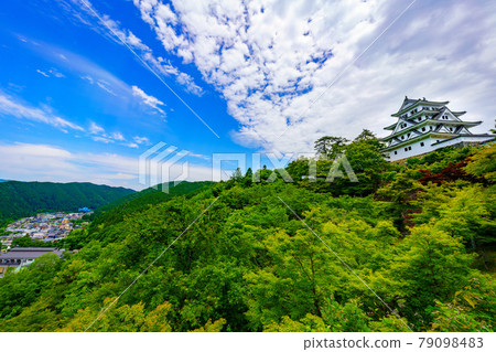 Gujo Hachiman Castle 79098483