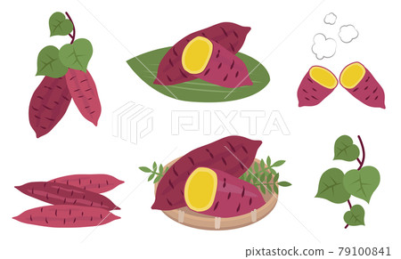 紅薯插畫集秋味蔬菜 79100841