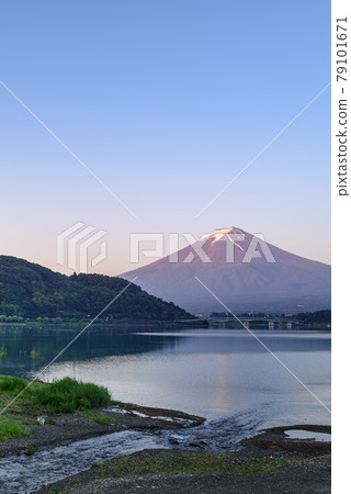 (山梨縣)日出時的富士山和河口湖 (山梨縣)日出時的富士山和河口湖 79101671