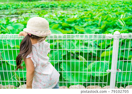 Girl park hat Straw hat Ponytail fence Lotus leaf Hass Has leaf Lotus Lotus leaf Leaf Leaf Girl park hat Straw hat Ponytail fence Lotus leaf Hass Has leaf Lotus Lotus leaf Leaf Leaf 79102705