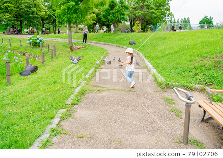Girl park tree-lined road Kakekko chasing pigeon pigeon Girl park tree-lined road Kakekko chasing pigeon pigeon 79102706