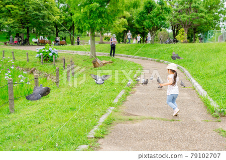 Girl park tree-lined road Kakekko chasing pigeon pigeon Girl park tree-lined road Kakekko chasing pigeon pigeon 79102707
