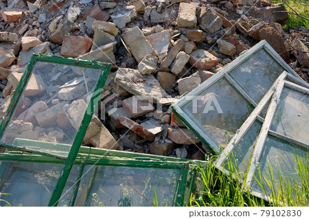 Debris Debris 79102830