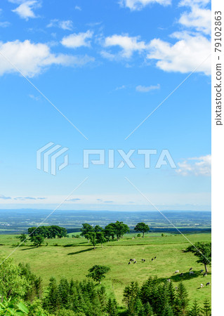 Naitai highland ranch of blue sky Naitai highland ranch of blue sky 79102863