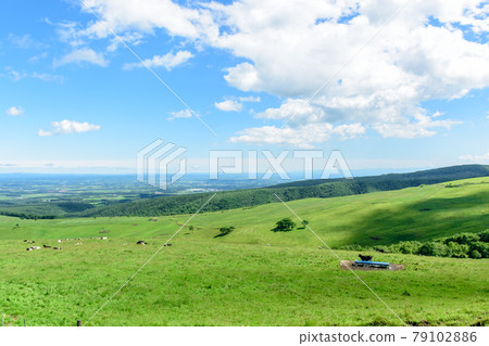 Naitai highland ranch of blue sky 79102886