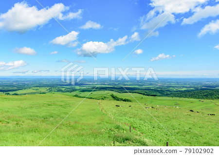 藍天Naitai高地大農場 79102902