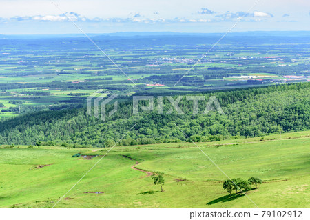 藍天Naitai高地大農場 79102912