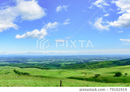 Naitai highland ranch of blue sky 79102919