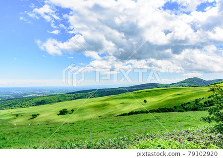 Naitai highland ranch of blue sky 79102920