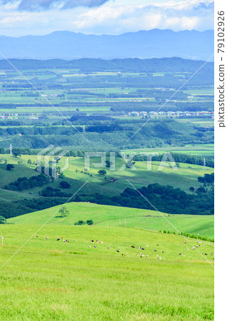 藍天Naitai高地大農場 79102926