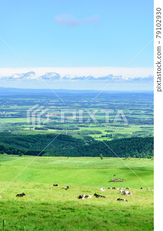 Naitai highland ranch of blue sky 79102930