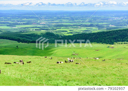 藍天Naitai高地大農場 藍天Naitai高地大農場 79102937