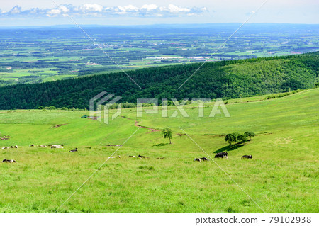 藍天Naitai高地大農場 79102938