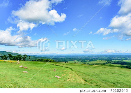 藍天Naitai高地大農場 79102943