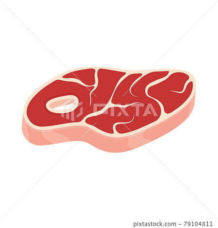 Raw beef tenderloin. Beef steak on white background. Food theme. Raw beef tenderloin. Beef steak on white background. Food theme. 79104811