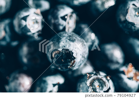 Macro of Fresh blueberries Macro of Fresh blueberries 79104927