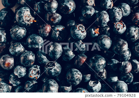 Macro of Fresh blueberries Macro of Fresh blueberries 79104928